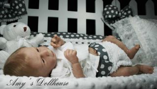 Amy's Dollhouse Lifelike Reborn Baby O Auer Sold Out Le "Angel" MRMH A C Tummy