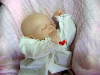 Bald Reborn Baby Doll Precious Gift Sculpt by Cindy Musgrove Girl Full Tummy