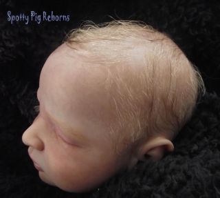 Reborn Baby Boy Reece from Andrea Arcello Sculpt Doll