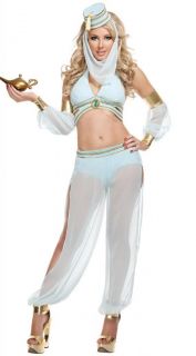 Genie Jasmine Aladdin Princess Adult Costume Fancy Dress Arabian Belly Dancer
