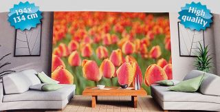 Massive 4 Pieces High Quality Wall Paper Photo Mural Decal 194x134cm Large Huge
