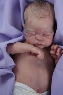 Prototype Quinlynn Laura Lee Eagles Newborn Reborn Baby Doll Iiora Collii