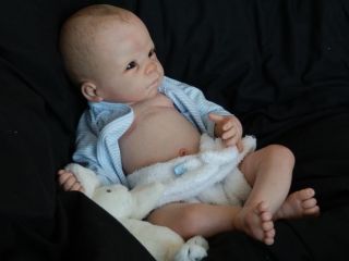 Stunning Lifelike Reborn Baby Doll Dani by Linda Murray Full Torso Painted Hair
