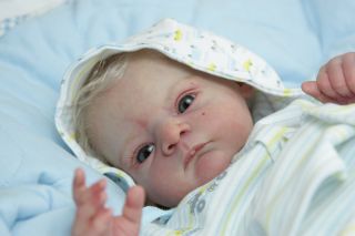 Beautiful Lifelike Reborn Baby Boy Max by Gudrun Legler New Anthony