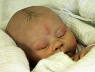 Reborn Baby Prem Preemie Twins Lifelike Boy Girl Realistic Doll Carly's Cradle