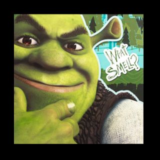 Shrek Forever After Birthday Party Supplies Plates Napkins Invitations Thank You