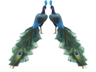Pack of 2 Closed Tail Regal Peacock Feathered Bird Christmas Figures 11"