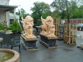Monumental Hand Carved Marble Roaring Lions M1001