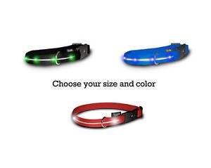 Visiglo Lighted Dog Collar w Steady Blinking LED Lights Glowing Safety Collar