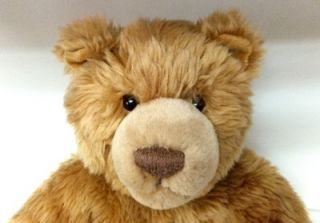 Gund Handsome Brown Teddy Grizzly Bear with Claws Stuffed Plush Animal Kohls