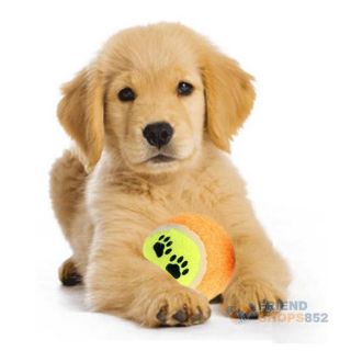 Pet Supplies Dog Toy Tennis Balls Run Fetch Throw Play Toy Chew Toy