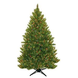 Evergreen Fir Prelit Christmas Tree with 450 Multicolored Lights