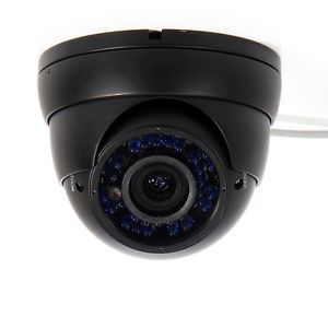 Outdoor Dome Audio Security Camera Sony CCD Night Vision Zoom CCTV Surveillance