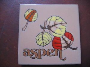Aspen Masterworks Handcrafted Ceramic Tile Trivet Hot Plate Collectible Wall Art