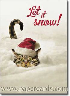 Cat in Snow Funny Boxed Christmas Cards 10 Greeting Cards by Avanti Press