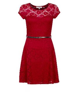 Red Floral Lace Skater Dress