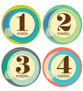 Lucy Darling Shop Baby Sticker   Baby Girl   Retro Numbers   Months 1 12 Baby
