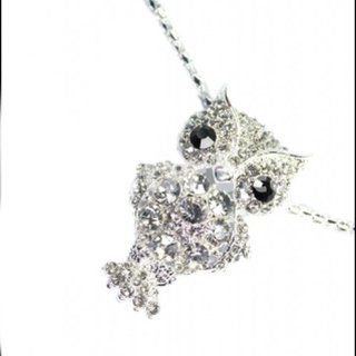 Fashion Owl Set with Silver Plated Design Sweater Chain Long Necklace Silver DDStore Arts, Crafts & Sewing
