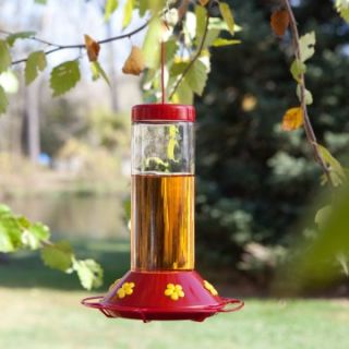 Perky Pet Hummingbird Glass Best Bird Feeder   Bird Feeders