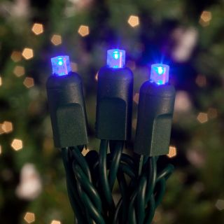 Commercial 70 ct. Blue Concave LED Lights with 6 in. Spacing (Case)   Christmas Lights