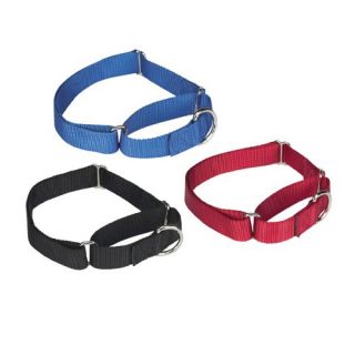 Guardian Gear Nylon Martingale Collar   Dog Collars