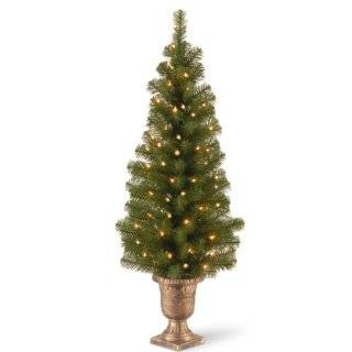 National Tree (MC7 308 40) Montclair Spruce Entrance Tree in 10 Inch Black/Gold Plastic Pot with 50 Clear UL Lights, 4 Feet   Christmas Trees
