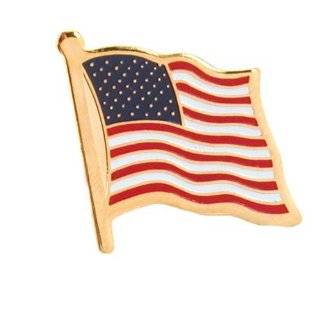 USA Flag Lapel Pin Standard   Flag A Series 3 with Longer Pole
