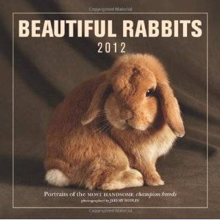  Rabbits 2012 Wall Calendar 12 X 12