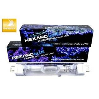  XM Metal Halide Lamp   Mogul Base   10,000K   250W Pet 