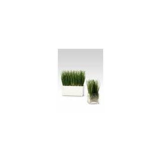 Artificial Wheat Grass in White Pot. 8 1/2in L X 4 3/4in W X 9in H
